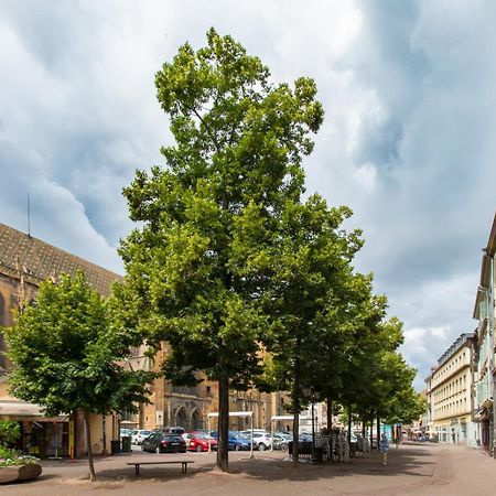 Apartamento Le Griffon Colmar Exterior foto