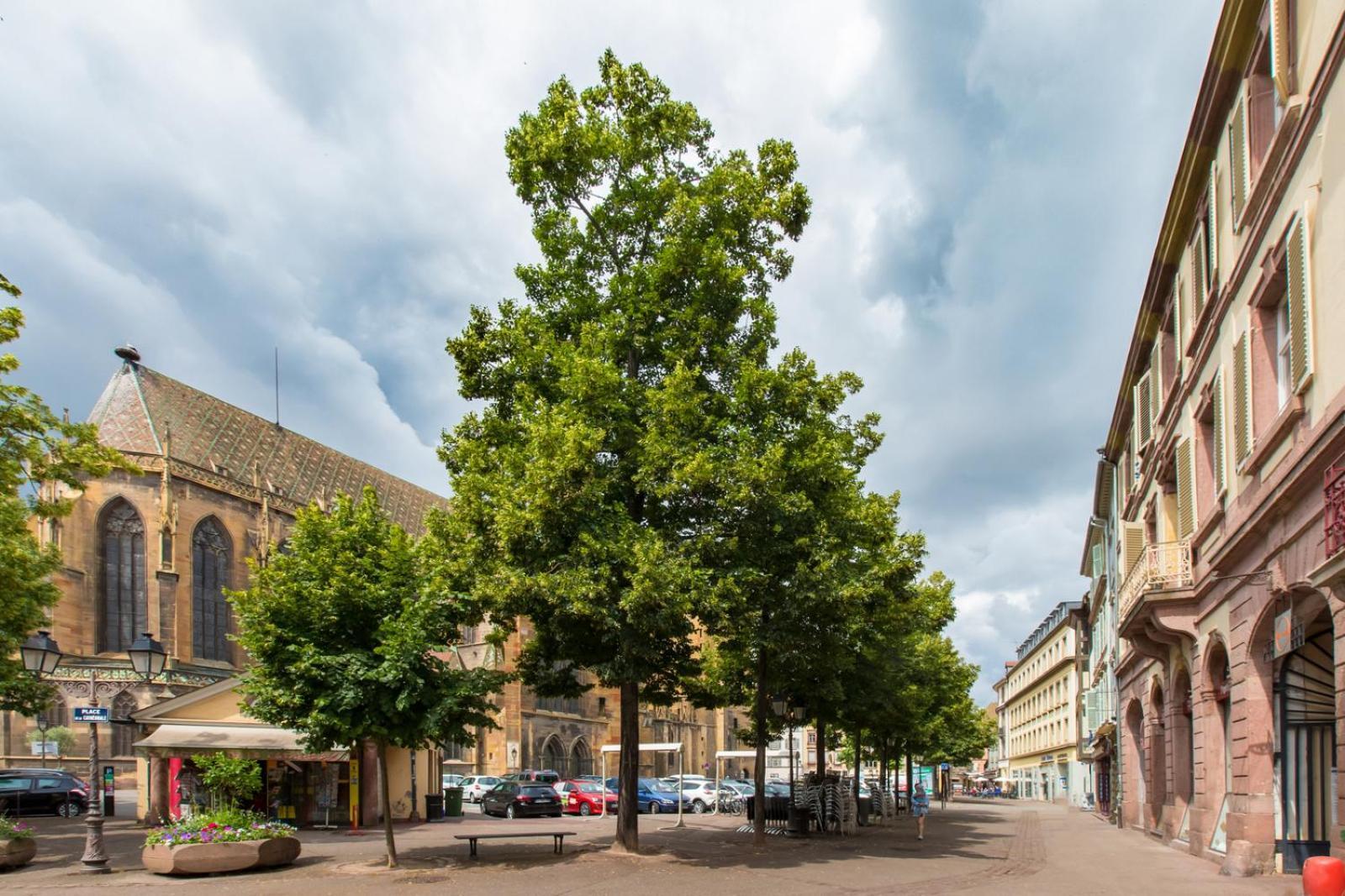Apartamento Le Griffon Colmar Exterior foto